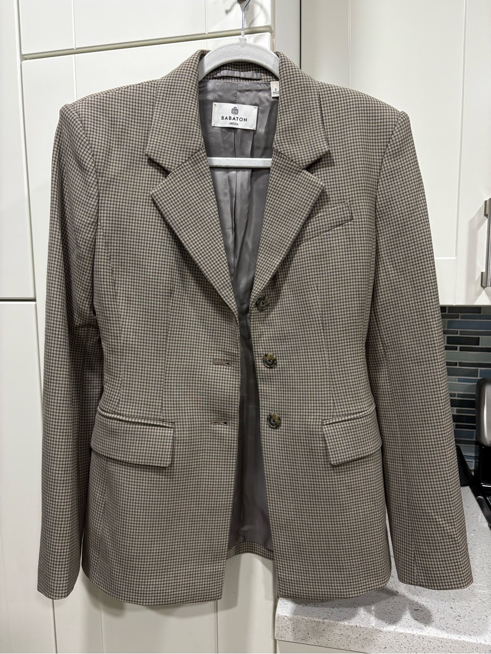 Aritzia Babaton Standout Blazer